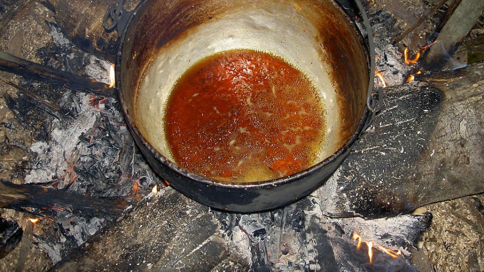 Hotová ayahuaska
